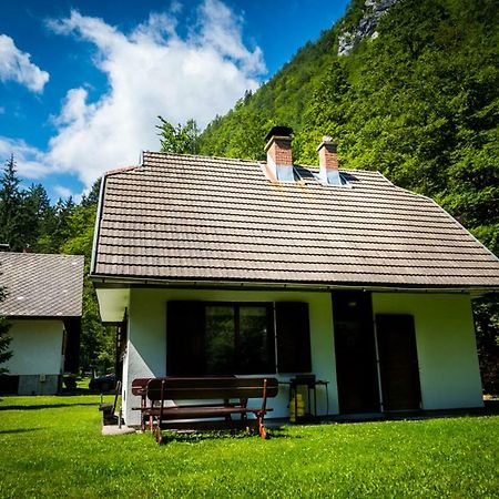Pocitniska Hisa Radovna Villa Zgornja Radovna Eksteriør bilde