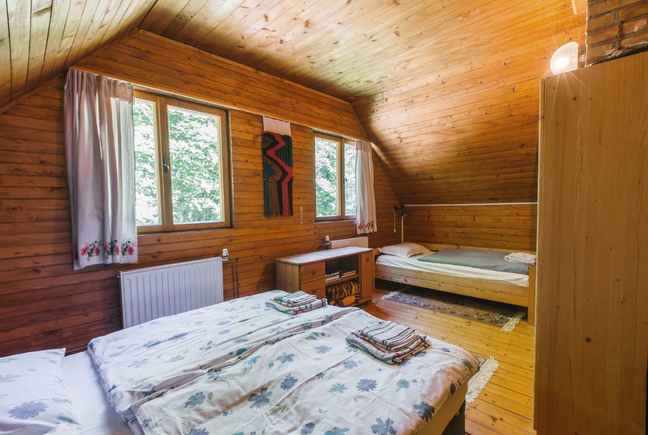 Pocitniska Hisa Radovna Villa Zgornja Radovna Eksteriør bilde